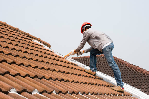 Best Roof Maintenance and Cleaning  in Opelika, AL
