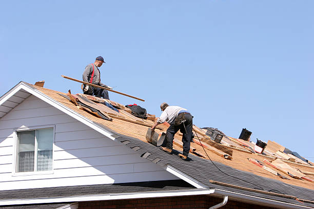 Best Skylight Installation and Repair  in Opelika, AL